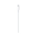 iPhone Lightning to USB Cable (2m)