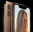 Factory Refurbished iPhone XS 64GB