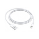 iPhone Lightning to USB Cable (1m)